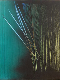 Peinture vinyle sur toile de Hans Hartung de 1962