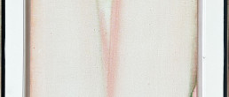 Huile sur toile Signe Rose Tâche verrte de Olivier Debré